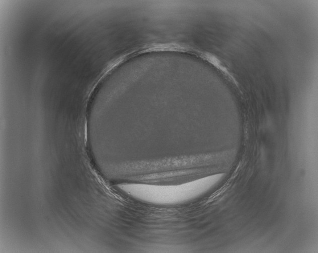 X0000071921221200608041426