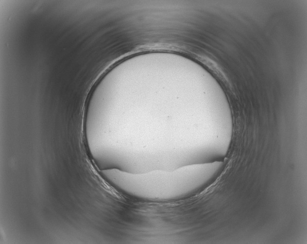 X0000071921228200608041426