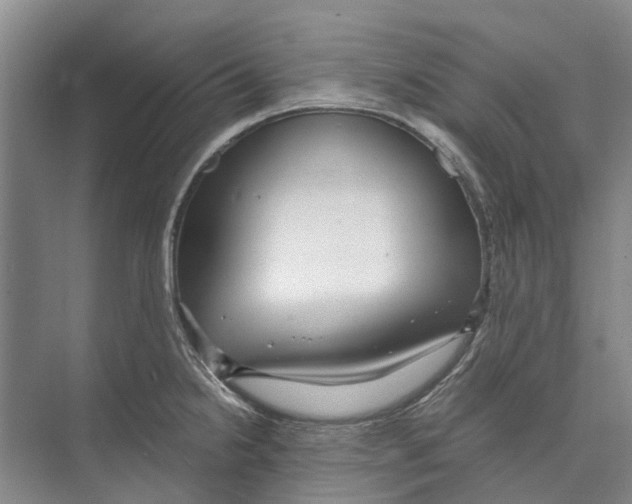 X0000071921238200608041426