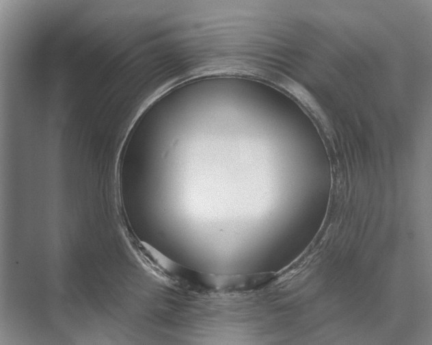 X0000071921242200608041426