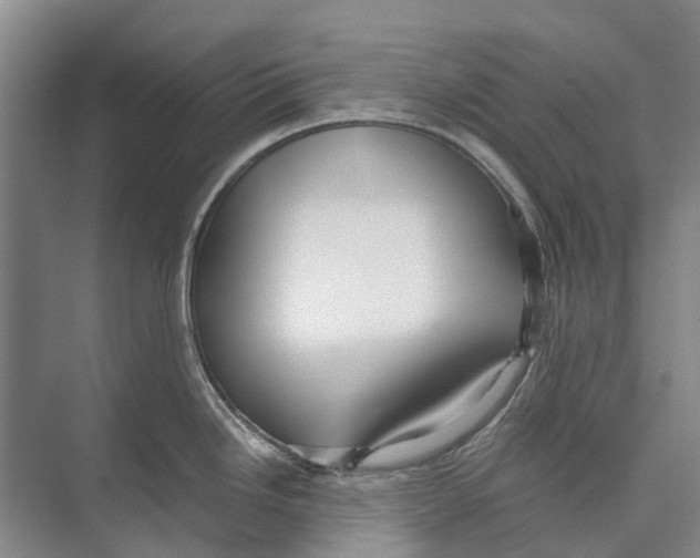 X0000071921246200608041426