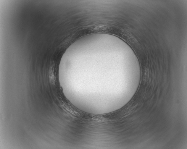 X0000071921250200608041426