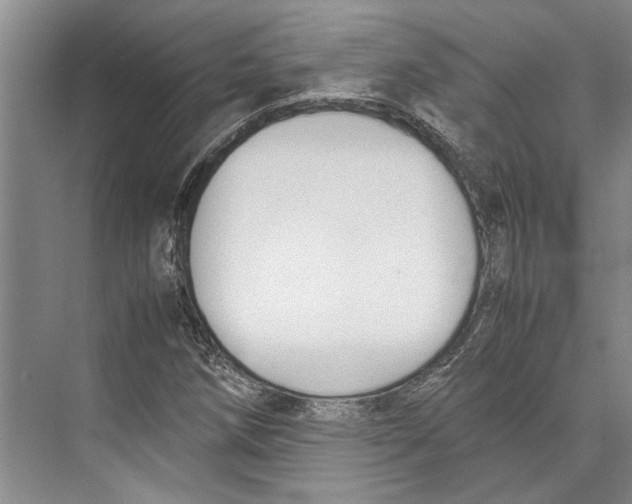 X0000071921258200608041426