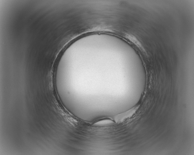 X0000071921268200608041425