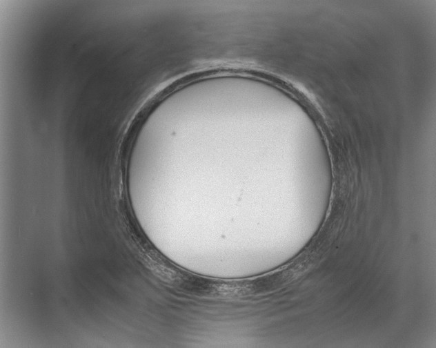 X0000071921271200608041425