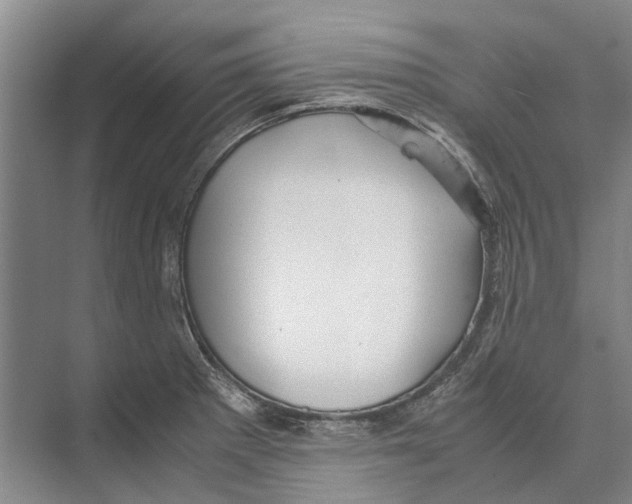 X0000071921281200608041425