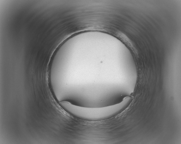 X0000071921284200608041425