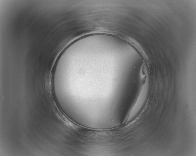 X0000071921292200608041425