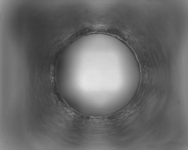 X0000071921301200608041424