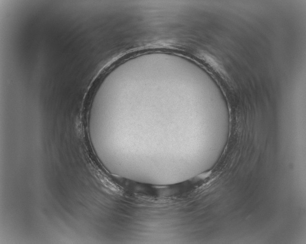 X0000071921308200608041424