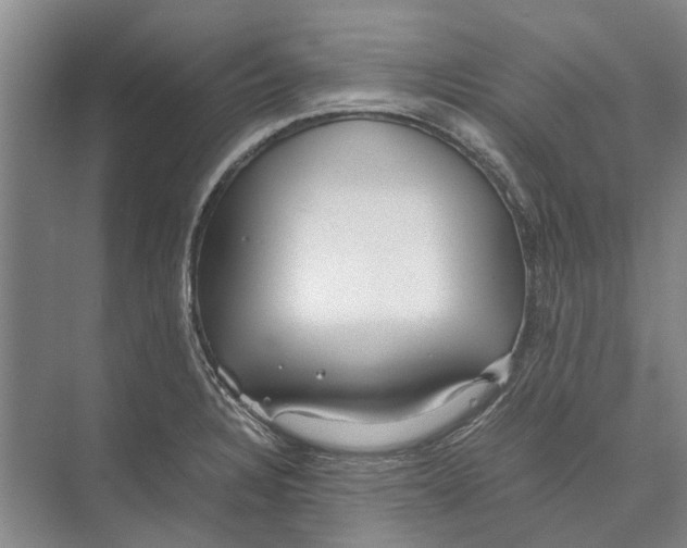 X0000071921328200608041425