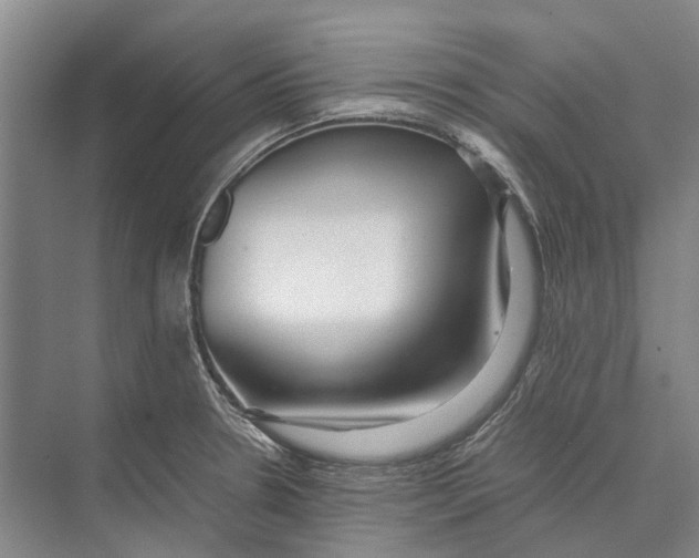 X0000071921330200608041425
