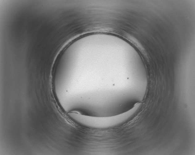 X0000071921332200608041425