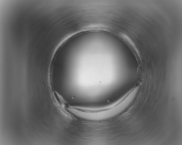 X0000071921336200608041425