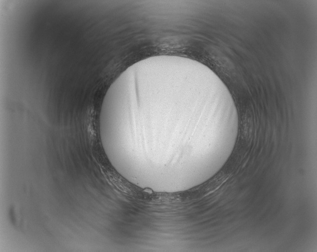 X0000071921346200608041424