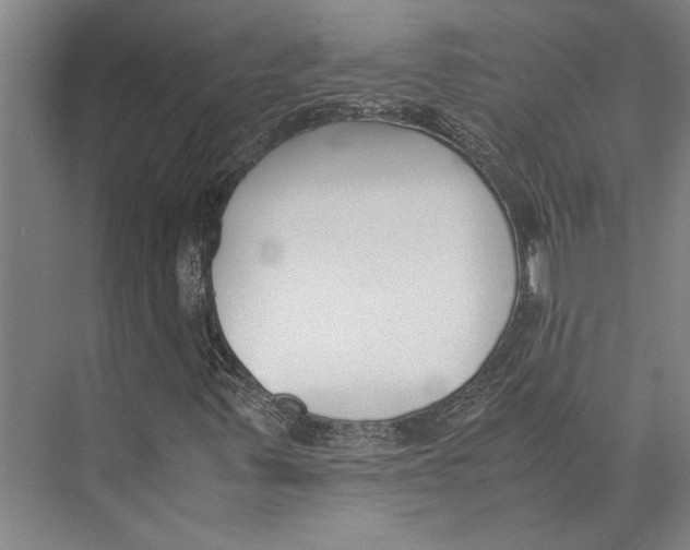 X0000071921347200608041424