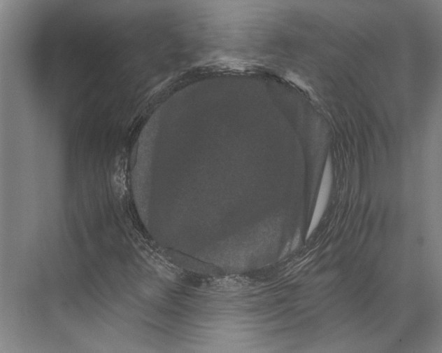 X0000071921348200608041424