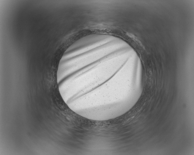 X0000071921350200608041424