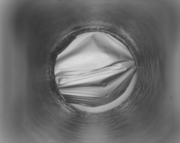 X0000071921352200608041424