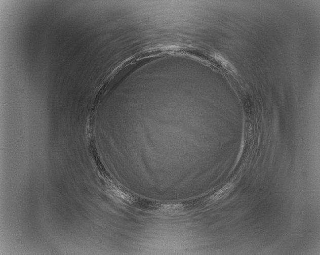 X0000071921353200608041424
