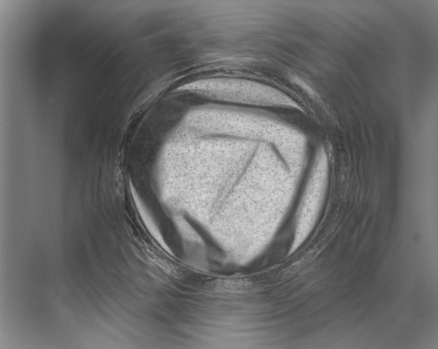 X0000071921354200608041424