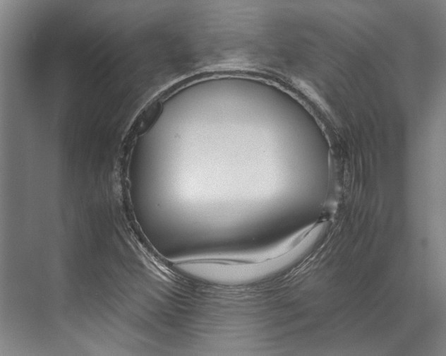 X0000071921356200608041424