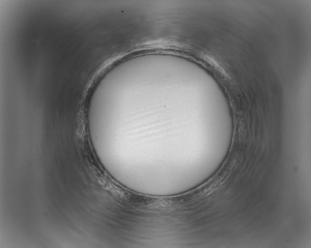 X0000071921358200608041424