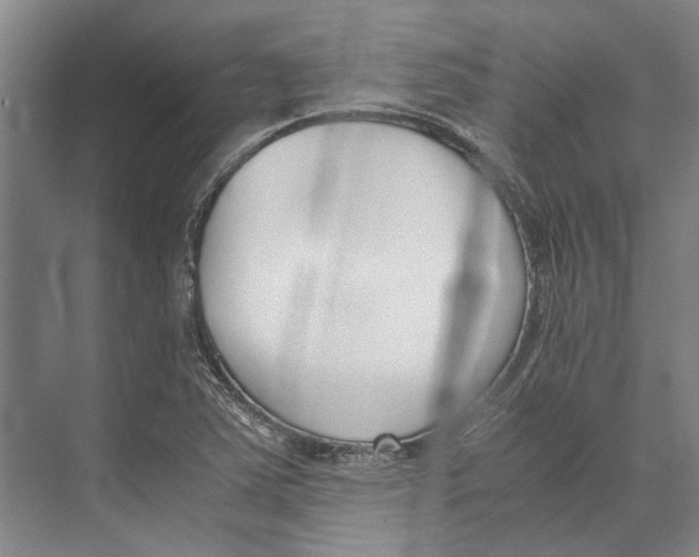 X0000071921363200608041424