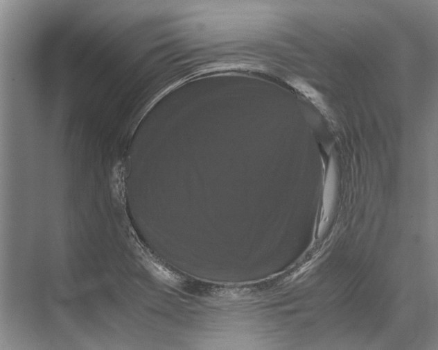 X0000071921369200608041424