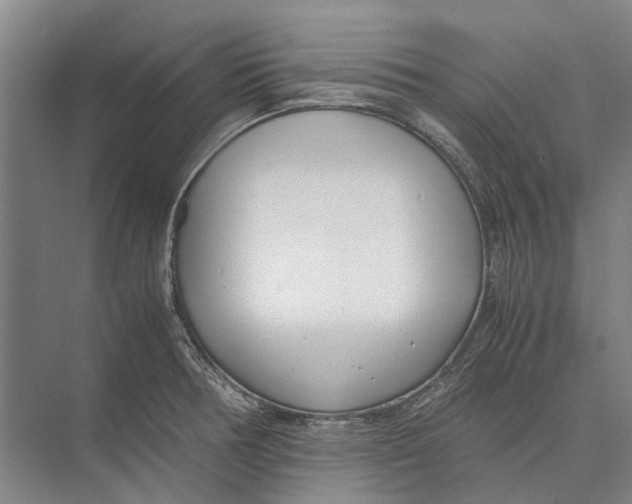 X0000071921378200608041424