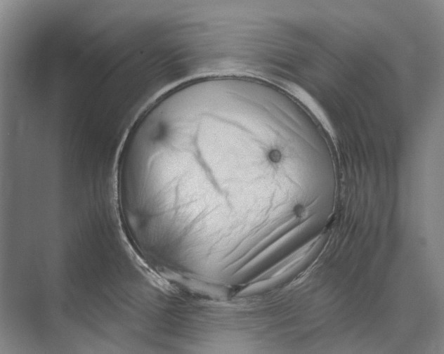 X0000071921388200608041423