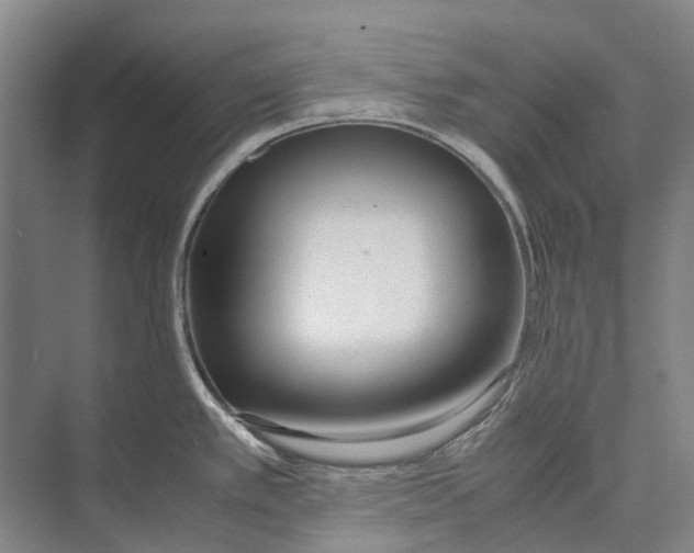 X0000071921389200608041423