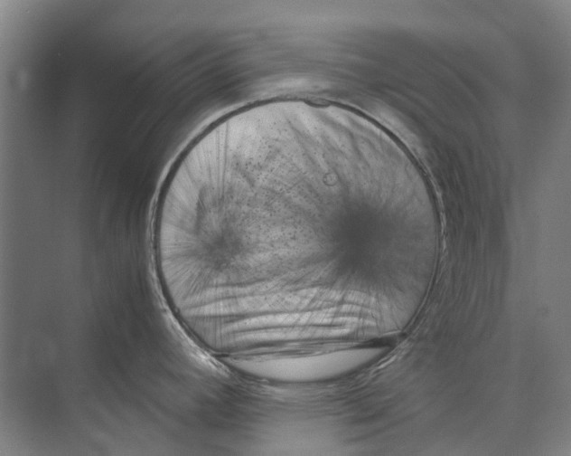 X0000071921392200608041423