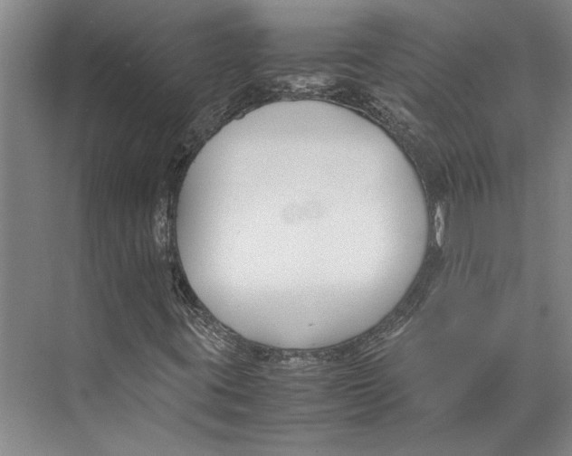 X0000071921395200608041423