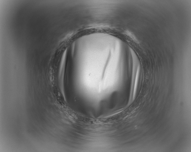 X0000071921398200608041423