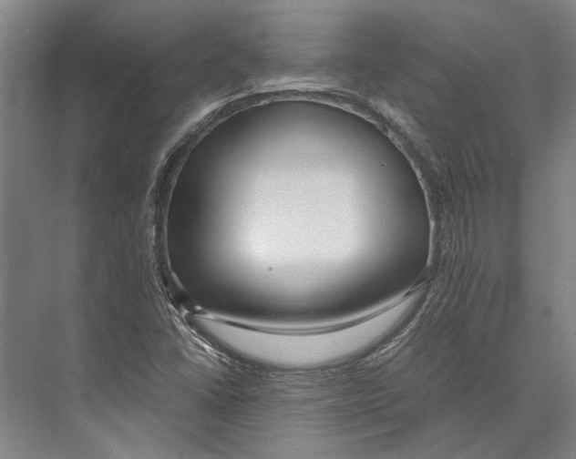 X0000071921406200608041423