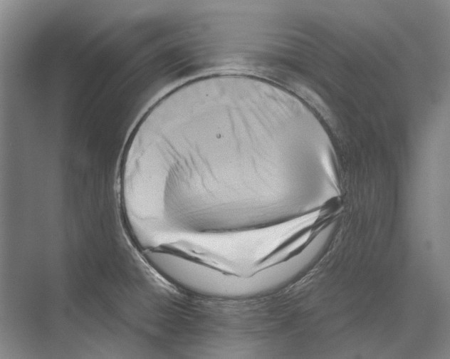 X0000071921428200608041423