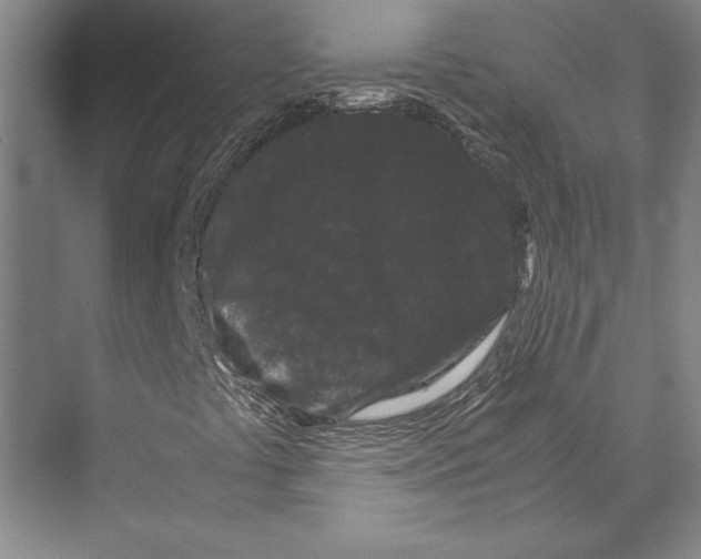 X0000071921441200608041422