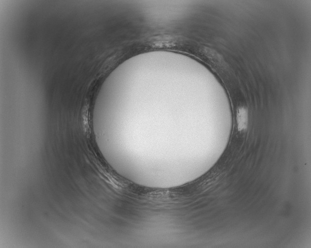 X0000071921444200608041422
