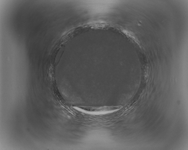 X0000071921445200608041422