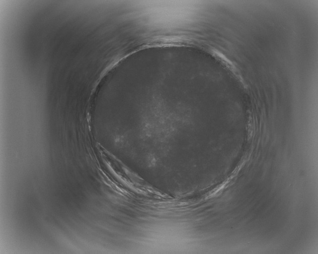 X0000071921449200608041422