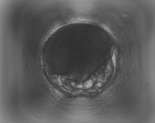 X0000071921455200608041422