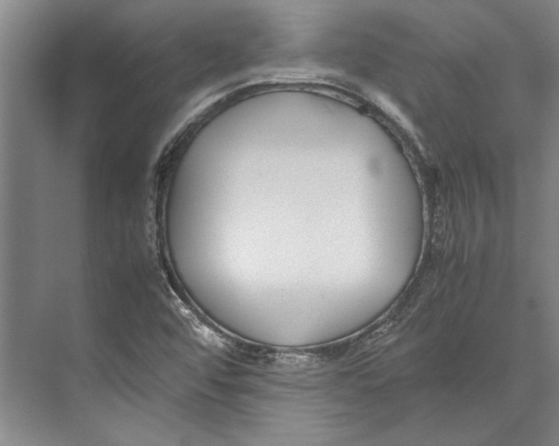 X0000071921456200608041422