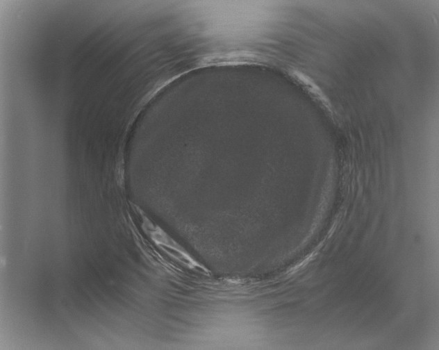 X0000071921457200608041422