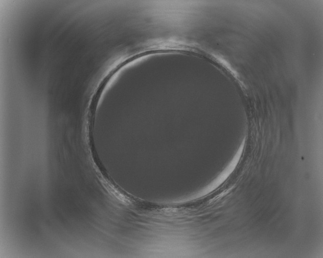 X0000071921463200608041422