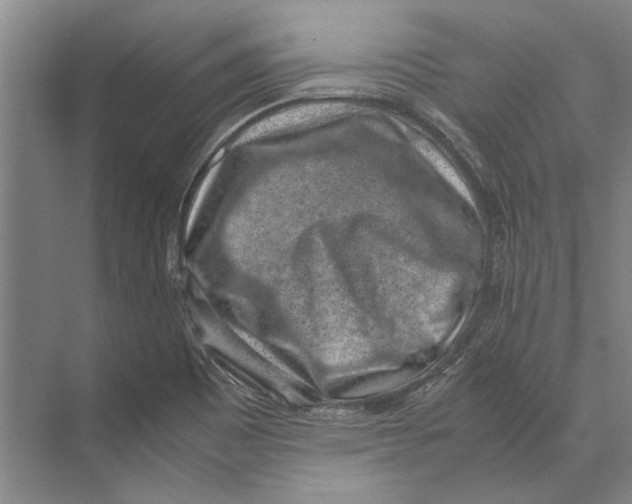 X0000071921465200608041422