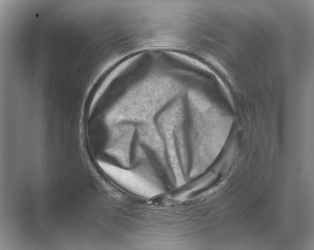 X0000071921469200608041422