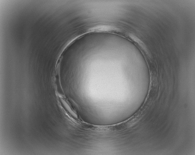 X0000071921473200608041422