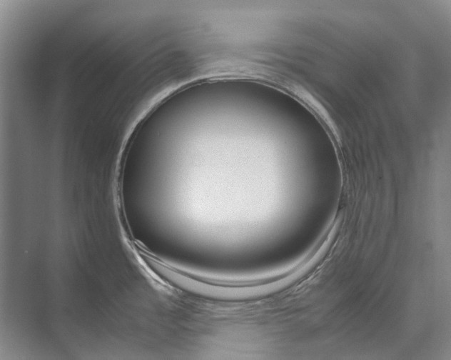 X0000071921485200608041422