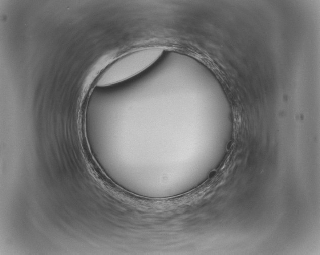 X0000071930006200607070957